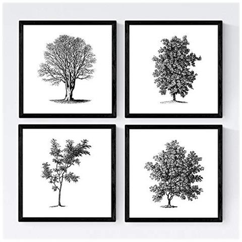 Set Di 4 Stampe Fogli Di Alberi Alberi Di Peccato E Foglia Di Taglia Carta Bianca Di Poster Di Sfondo E Inchiostri Senza Cornice 20x20 Cm - Foto 1