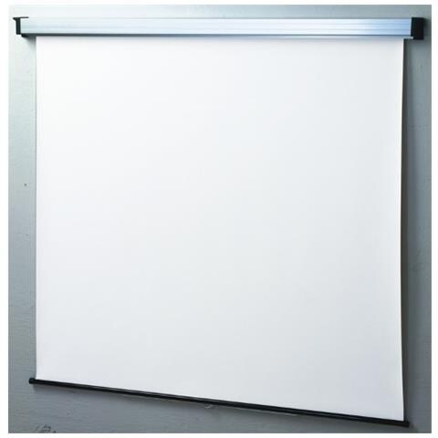 Schermo manuale PLATINUM 1:1 240x200 Tela Bianca