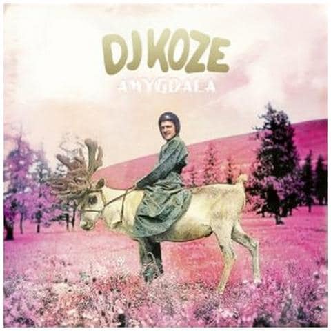 Dj Koze - Amygdala (2 Lp)  - Foto 1