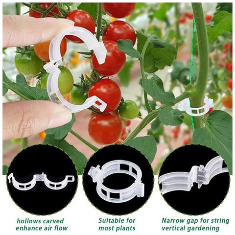 Ganci Per Pomodori Da Giardino, 40 Pezzi - Supporto Ideale Per Piante Rampicanti - Foto 5