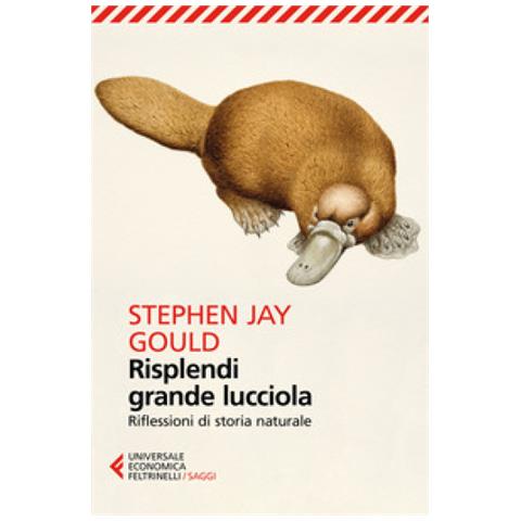 Stephen Jay Gould - Risplendi grande lucciola. Riflessioni di storia naturale - Foto 2