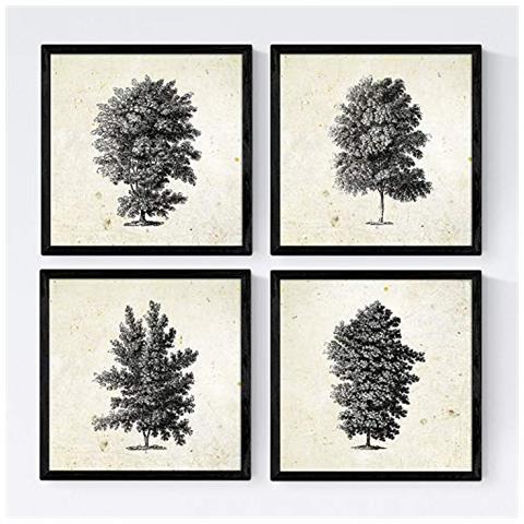 Set Di 4 Stampe Fogli Di Alberi Alti Alberi Sfondo D'epoca Vecchia Carta Poster Di Carta E Gli Inchiostri Di Alta Qualità Senza Cornice 20x20 Cm - Foto 1