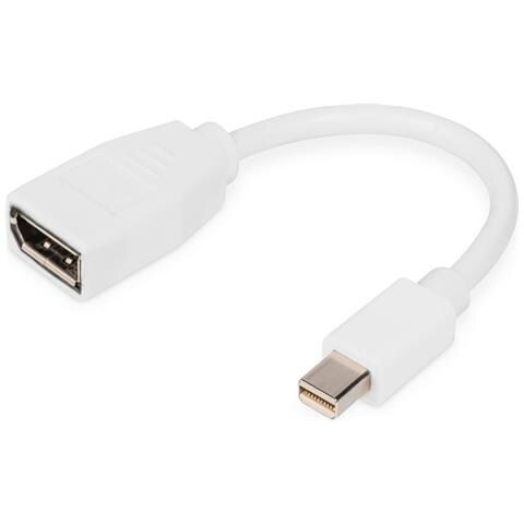 Cavo adattatore DisplayPort, mini DP - DP - Foto 1