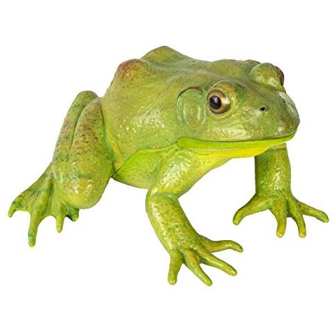 Safari Ltd. Fischotter Figur – 14 Cm Lang, Detailgetreu, Aus PVC, Für Kinder Ab 3 Jahren
