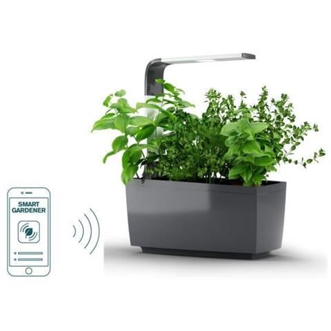 Verdura Collegato T6 Grigio - Foto 1