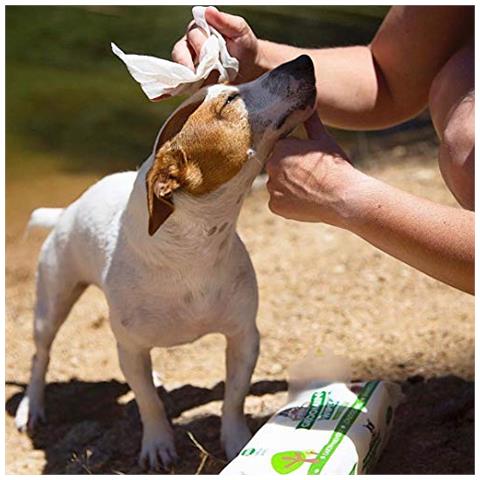 Di Pogi Grooming Salviette - 100 Ipoallergenico Pet Panni Per Cani Gatti - Biodegradabile T Verde Profumato Deodorante Cane Salviette - Foto 2
