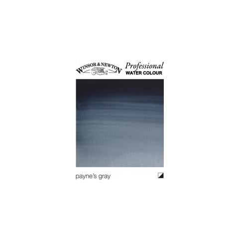 465 Artist 1/2 Godet Grigio Di Payne Gruppo 1 - Foto 1