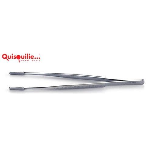 Pinza Per Deliscare In Acciaio Inox, punte Larghe Zigrinate Cm 11 Qualità Professionale - Foto 1