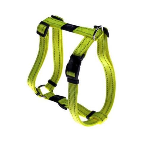 Pettorina -nitelife- Special - Foto 1