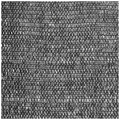 Rete per Privacy Nera 3,6x50 m in HDPE 150 g / m² - Foto 2