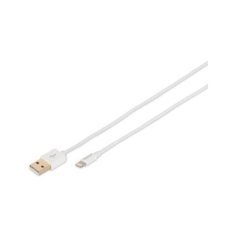 1m, Lightning / USB-A, USB A, Lightning, Maschio / maschio, Dritto, Dritto, Nichel - Foto 1