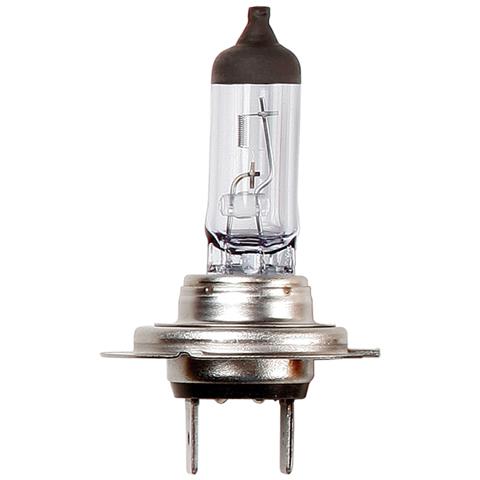 Lampadina Heavy Duty 24v 70w H7 - Foto 1