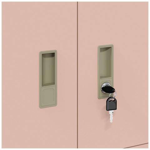 Armadio Rosa 80 x 40 x 40 cm Acciaio - Foto 9