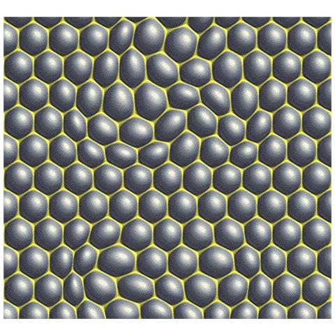 A. s. Cr? ation 327201 Carta Da Parati In Tessuto Non Tessuto Harmony In Motion By Mac Stopa, Effetto 3d, 10,05 X 0,53 M, Grigio, Verde, Nero, 10,05 M (l? nge) X 0,53 M (breite)  - Foto 1