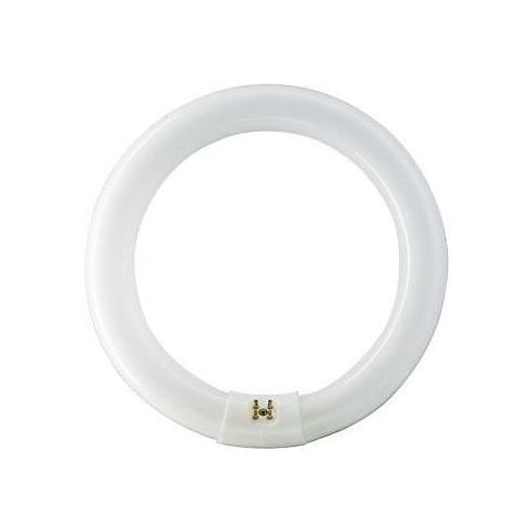 22 W G10q 22W G10q B Bianco neutro lampada fluorescente - Foto 1