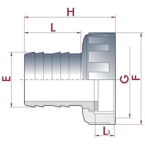 Raccordo Portagomma Pvc Con Ghiera ¾  X 16mm Per Irrigazione - Foto 2
