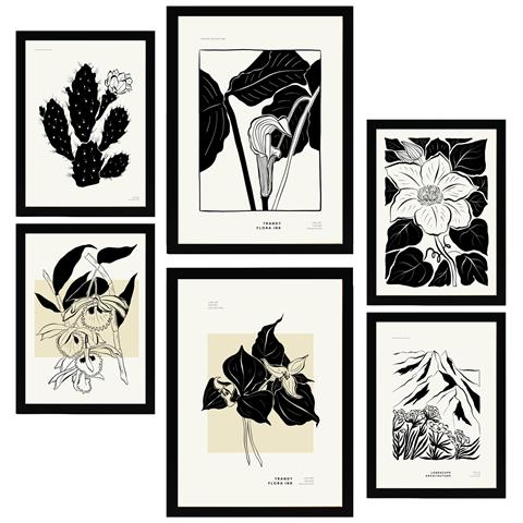 Set Di 6 Stampe Fiori In Bianco E Nero 2 Incorniciati Con Illustrazioni Di Design Per Le Pareti Del Tuo Negozio Di Pittura Per La Stanza Di Casa A3 & A4 Cornice Nera - Foto 1