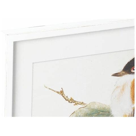 Quadro Dkd Home Decor 60 X 2,5 X 60 Cm Uccello Shabby Chic (4 Pezzi) - Foto 2