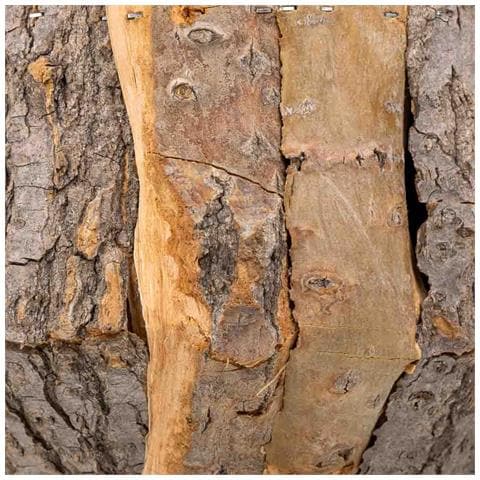 Set Di 2 Cestini In Legno Marrone - Foto 5