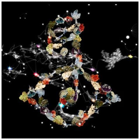 Bjork - Biophilia (2 Lp)  - Foto 1