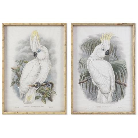 Quadro Dkd Home Decor 50 X 2,8 X 70 Cm Coloniale Pappagallo (2 Unità) - Foto 1