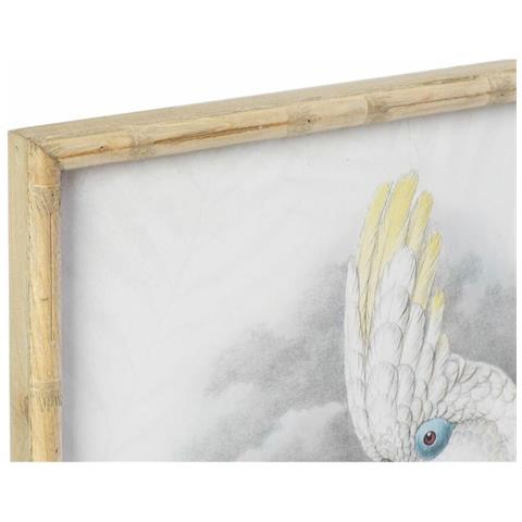 Quadro Dkd Home Decor 50 X 2,8 X 70 Cm Coloniale Pappagallo (2 Unità) - Foto 2