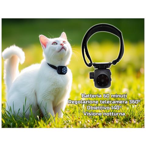 Mini Telecamera Portatile Full Hd 1080p, Cani E Gatti Visione Notturna A Infrarossi, Registrazione Su Sd, Collare Regolabile A Strappo (campet1) - Foto 1