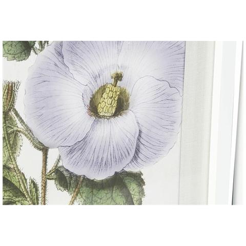 Quadro Dkd Home Decor 40 X 2 X 54 Cm Fiori Shabby Chic (6 Pezzi) - Foto 3