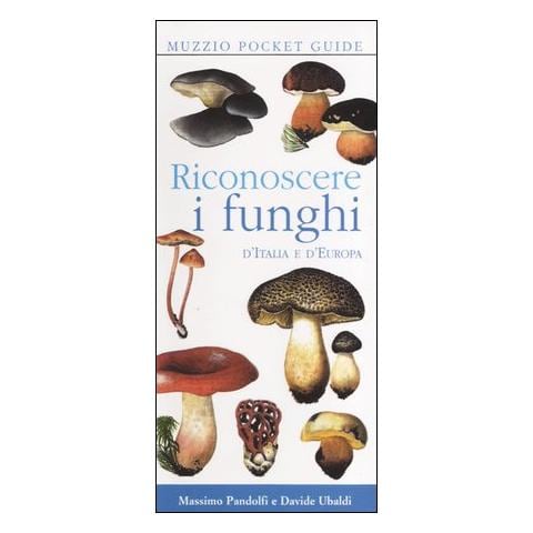 Massimo Pandolfi - Riconoscere i funghi d'Italia e d'Europa - Foto 1