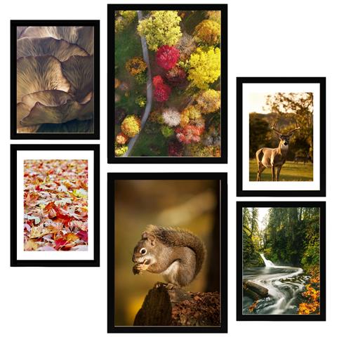 Set Di 6 Stampe Dipinto Decorativo Autunno Canadese Rosso Giallo E Marrone Natura E Ispirazione Incorniciato Con Illustrazioni A3 & A4 Cornice Nera - Foto 1