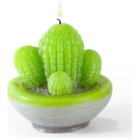 Kit Candele Fai Da Te - Cactus - Foto 1