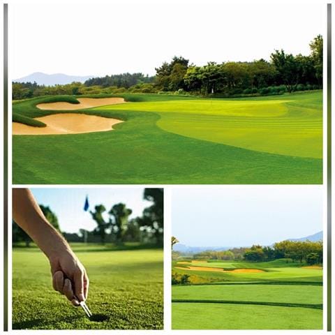 Ripara Divot Pieghevole Per Golf - Forchetta Verde In Alluminio E Acciaio Inossidabile Silver - Foto 7