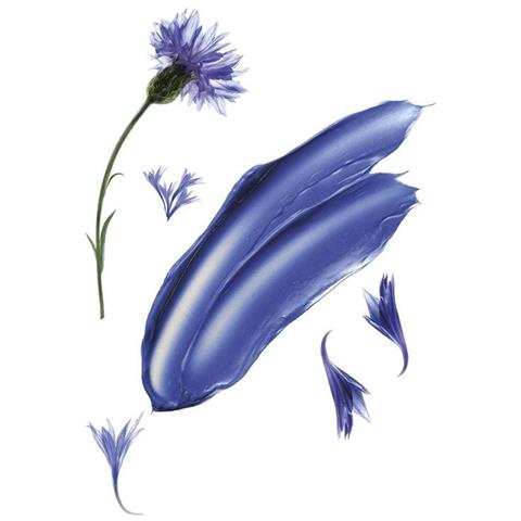 Shampoo Centaurea 400 ml - Foto 2