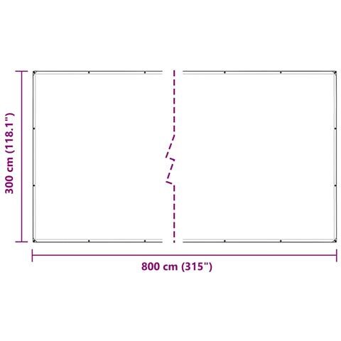 Telone Trasparente con Occhielli 3x8 m in Polietilene - Foto 2
