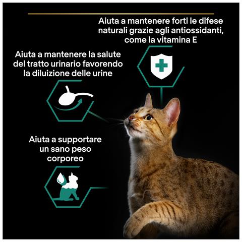 Pro Plan Wet Cat Sterilised cibo secco per gatti 85 g Adulto Turchia - Foto 8