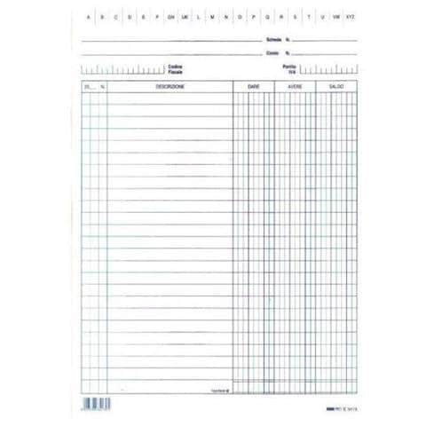 Cf100 Schede Dare / Avere / Saldo Blu - Foto 1