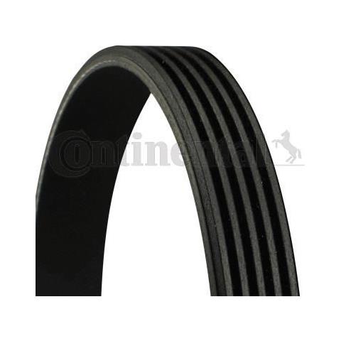 5pk2030 Cintura A Coste - Foto 1