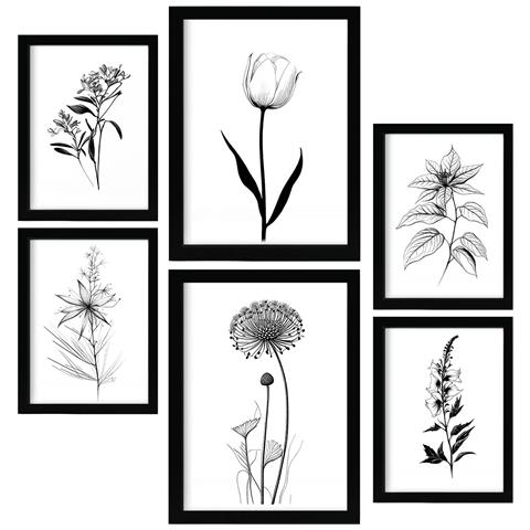 Set Di 6 Stampe Stampe Di Piccoli Fiori, Natura E Botanica Con Motivi Floreali In Un Classico Design D'interni In Bianco E Nero A3 & A4 Cornice Nera - Foto 1