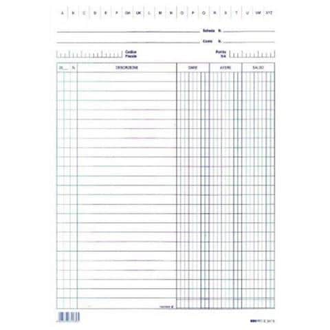 Cf100 Schede Dare / Avere / Saldo Blu - Foto 1