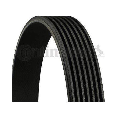 305P0064 RIDEX Cinghia Poly-V - Acquistare Ora - Foto 7