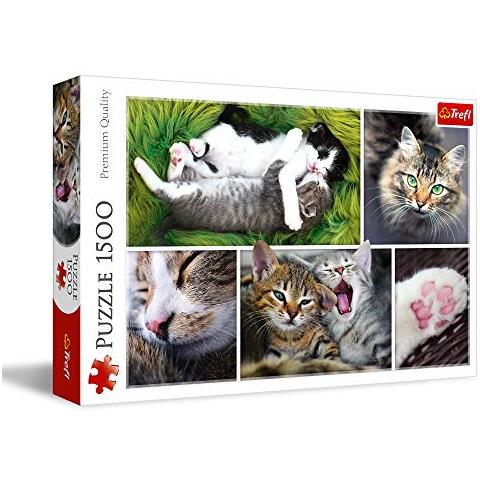 26145 1500pezzo (i) puzzle - Foto 1