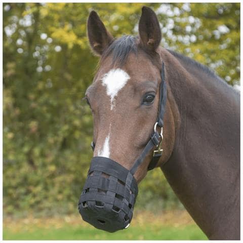 Museruola Per Pony Nera - Foto 2