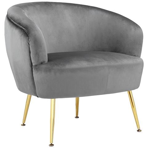 Paloma Sedia Accento In Velluto Grigio - Foto 1