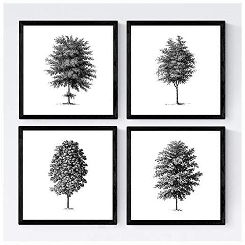 Set Di 4 Stampe Fogli Di Alberi Alberi Fine Tronco Di Vintage Vecchio Sfondo Di Carta Poster Carta E Inchiostri Di Alta Qualità Senza Cornice 20x20 Cm - Foto 1