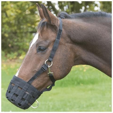 Museruola Per Shetty Nera - Foto 2