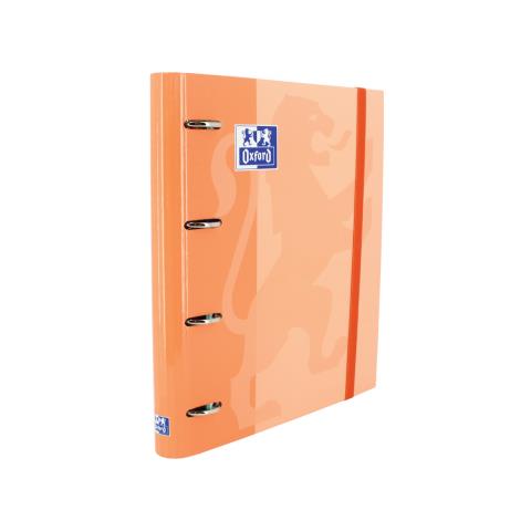 400132986 raccoglitore ad anelli A4+ Pesca - Foto 1