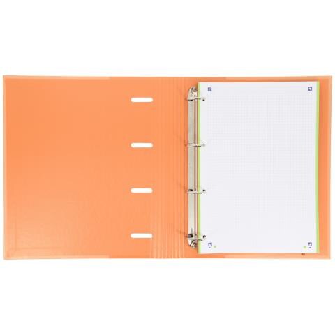 400132986 raccoglitore ad anelli A4+ Pesca - Foto 2