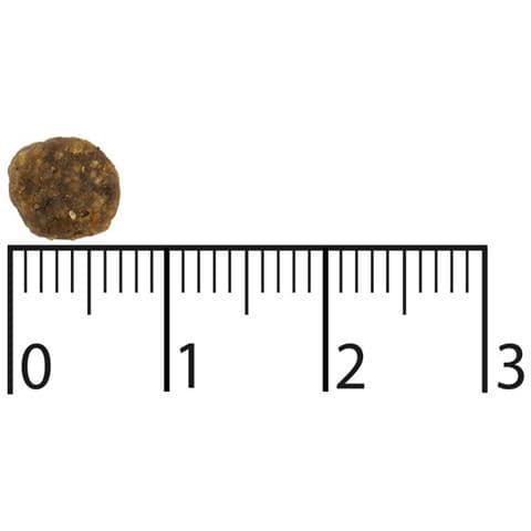 9117383 cibo secco per cani 7,5 kg Adulto Manzo, Salmone - Foto 2