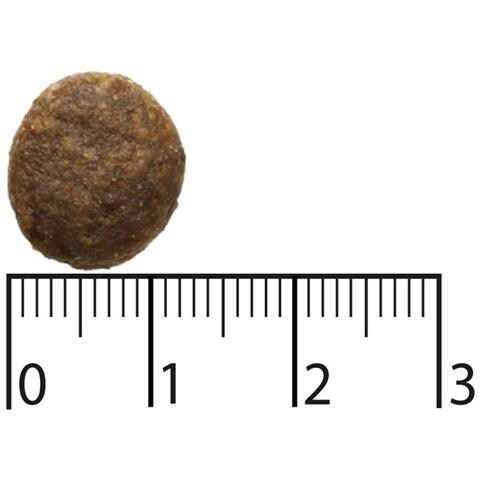 9117388 cibo secco per cani 2,5 kg Adulto Cervo - Foto 2