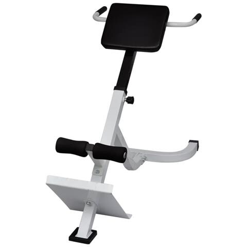 Panca Pesi Schiena - Foto 2